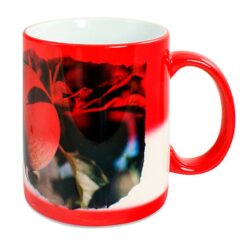 Mug magique personnalisé