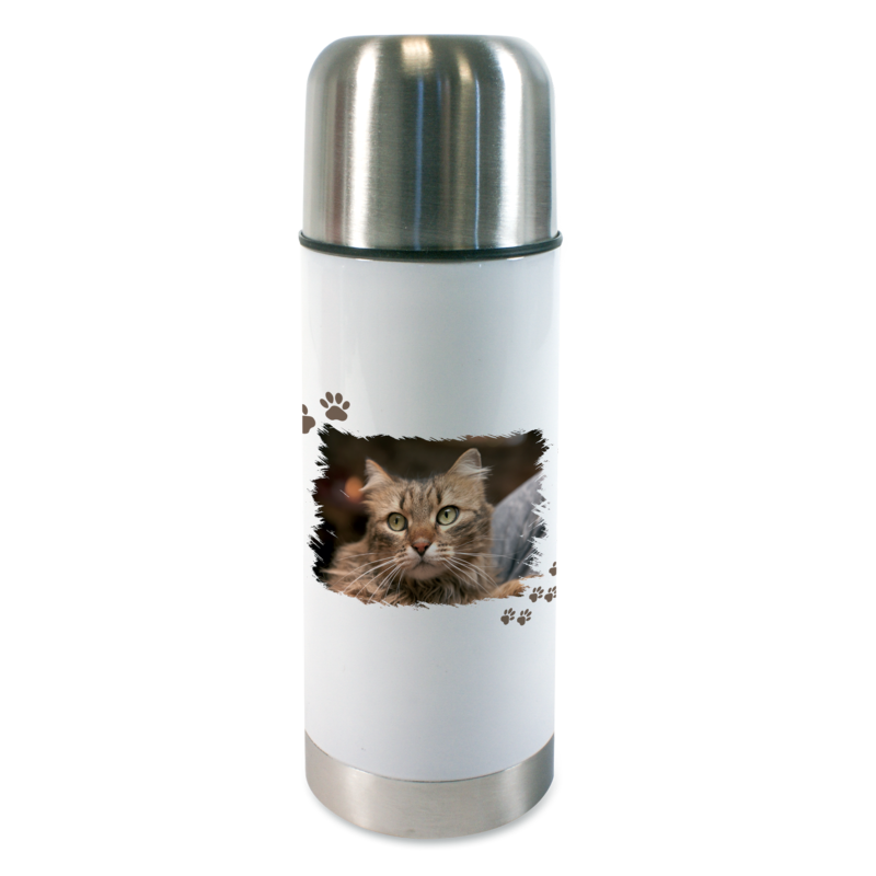 Thermos en acier inoxydable