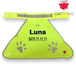 Chasuble de sécurité personnalisée pour chien