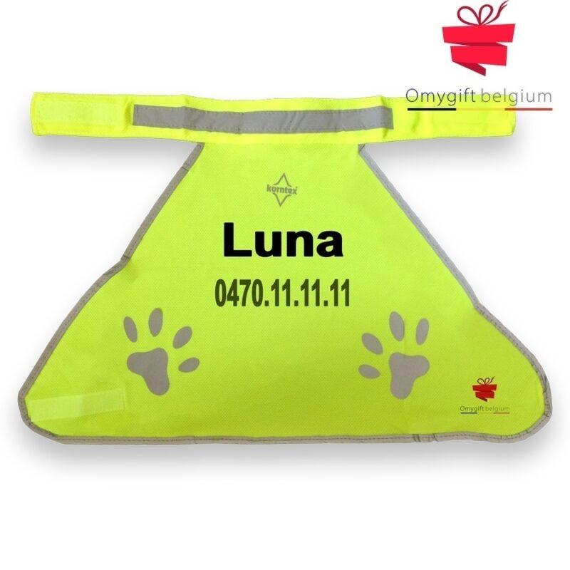 Chasuble de sécurité personnalisée pour chien