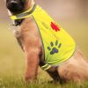Chasuble de sécurité personnalisée pour chien