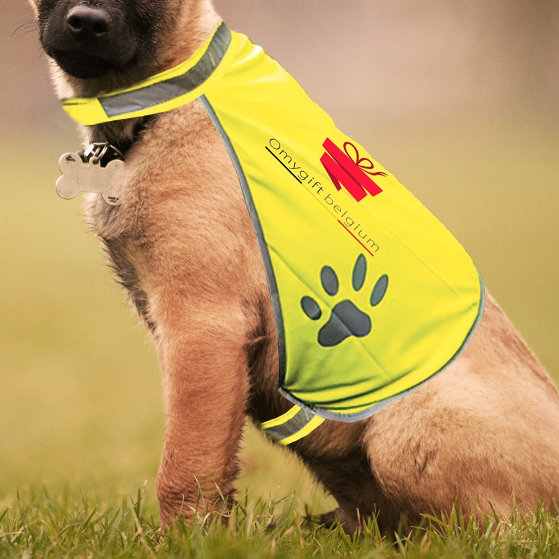 Gilet de sécurité fluorescent pour chien