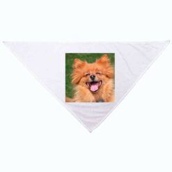 Bandana personnalisée pour chien