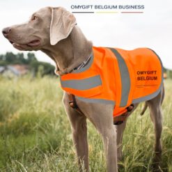 gilet fluo chien personnalisable