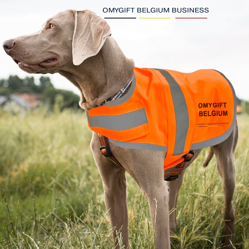 Gilet de sécurité pour chien - Jaune ou orange fluo - Personnalisable