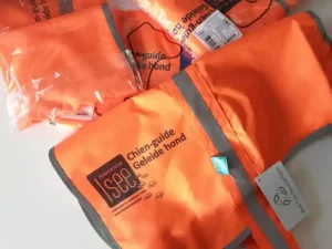 gilet fluorescente de signalisation personnalisé pour chien